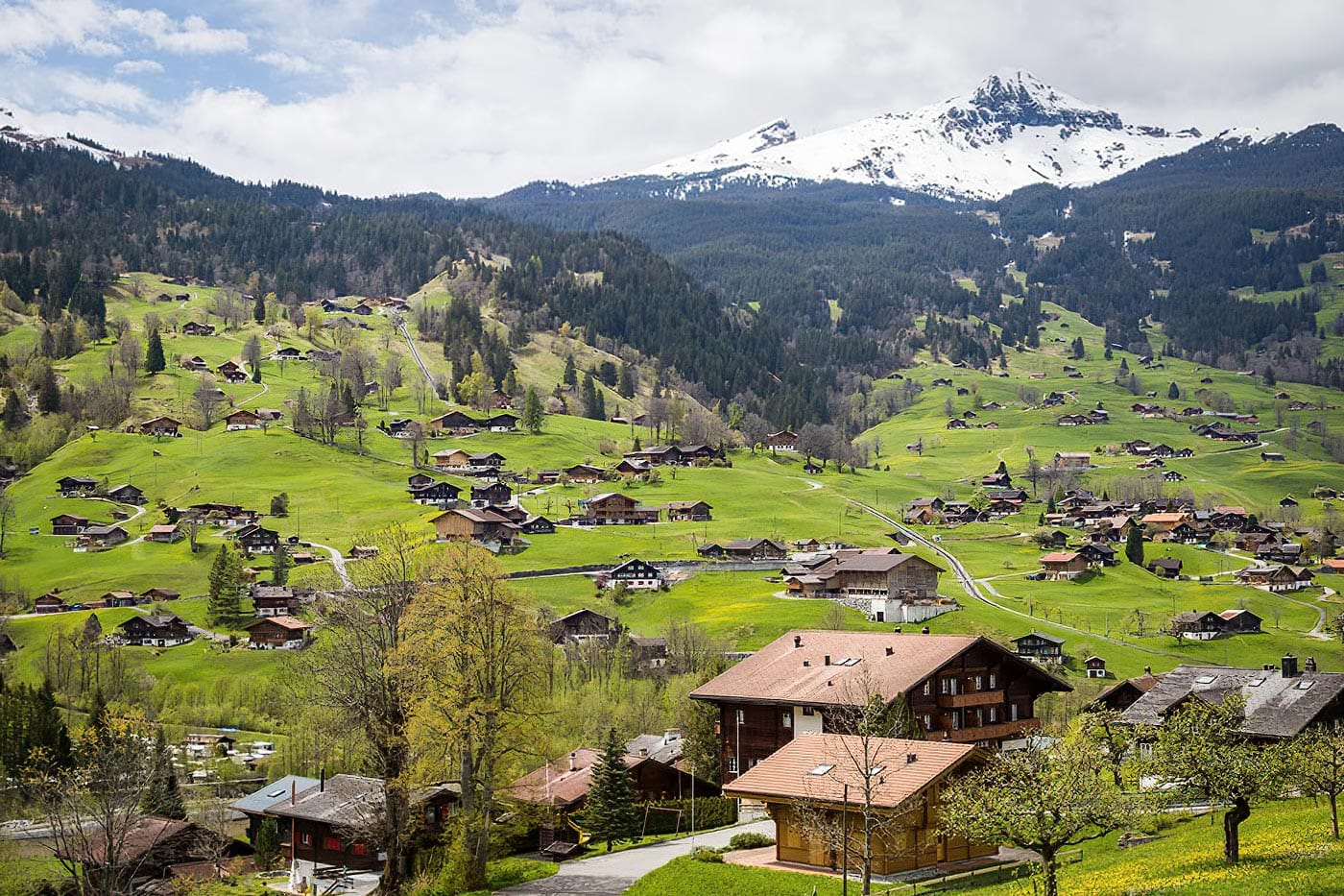 Valberg ski resort in the Southern Alps welcomes you in summer and winter